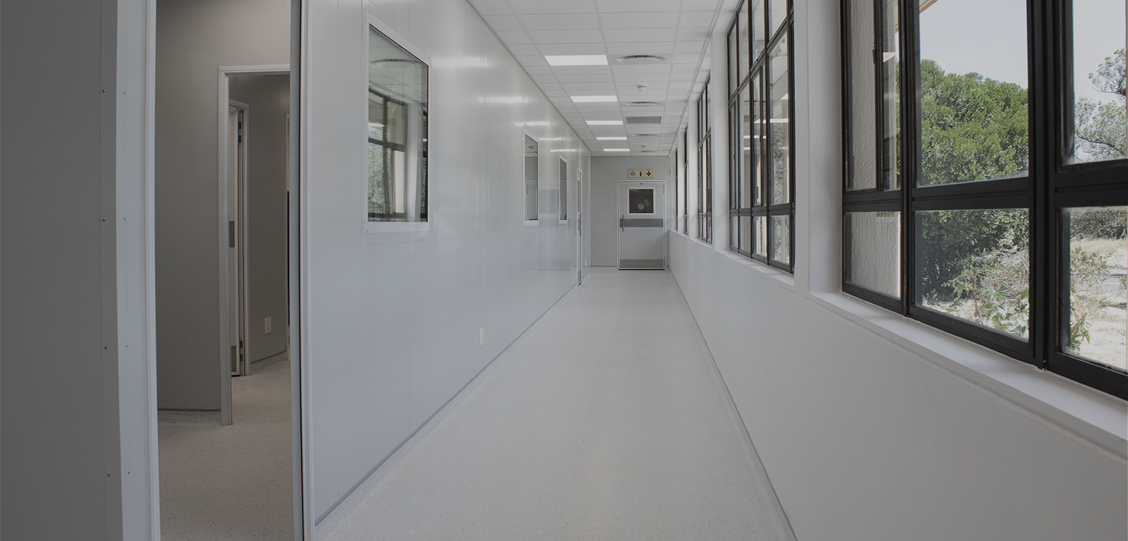 Tissue bank refurbishment and laboratory design